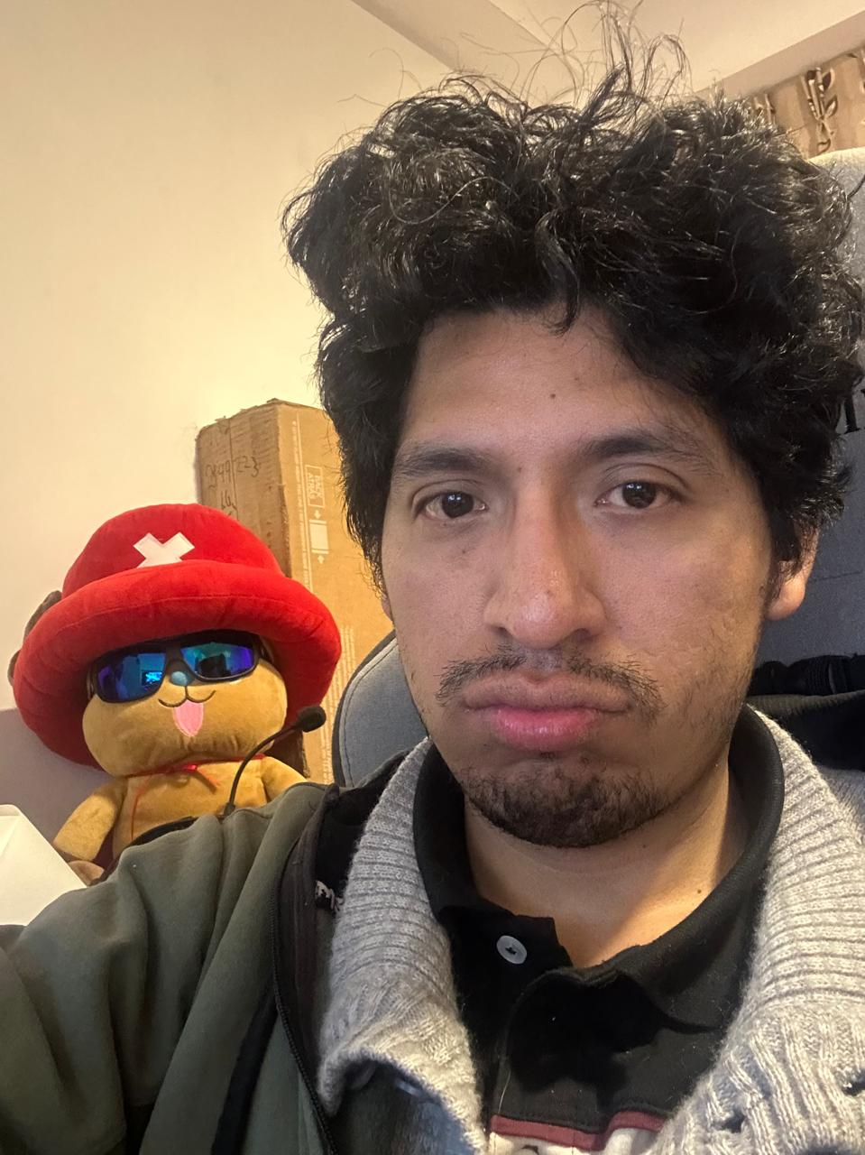 Foto real de Meel
